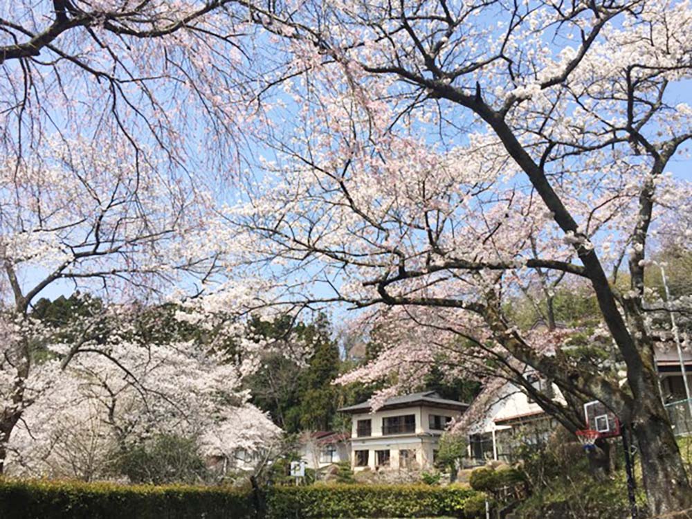 庭園の宿 抱月荘